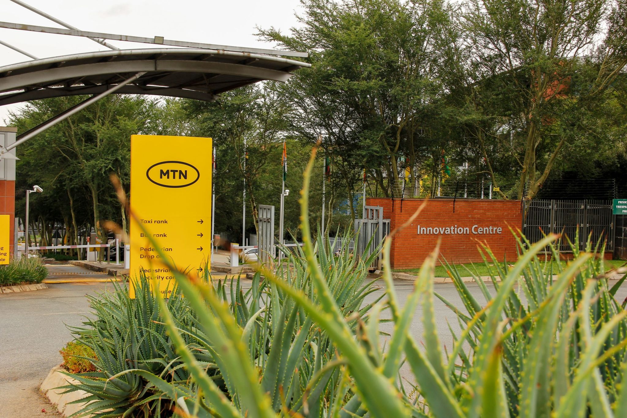 MTN Weekly Subscription